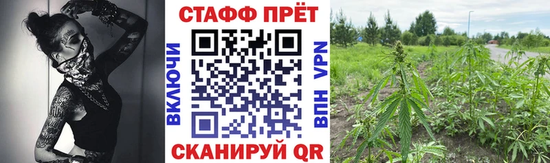 Наркошоп Мичуринск Амфетамин  Меф  Каннабис  APVP 