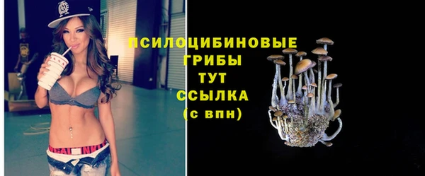 альфа пвп Нея