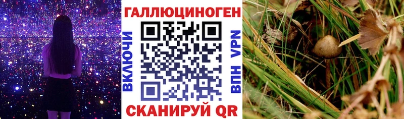 Галлюциногенные грибы Magic Shrooms  Мичуринск 