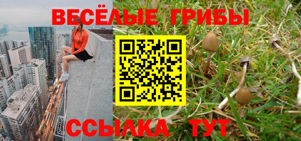 Псилоцибиновые грибы прущие грибы Мичуринск