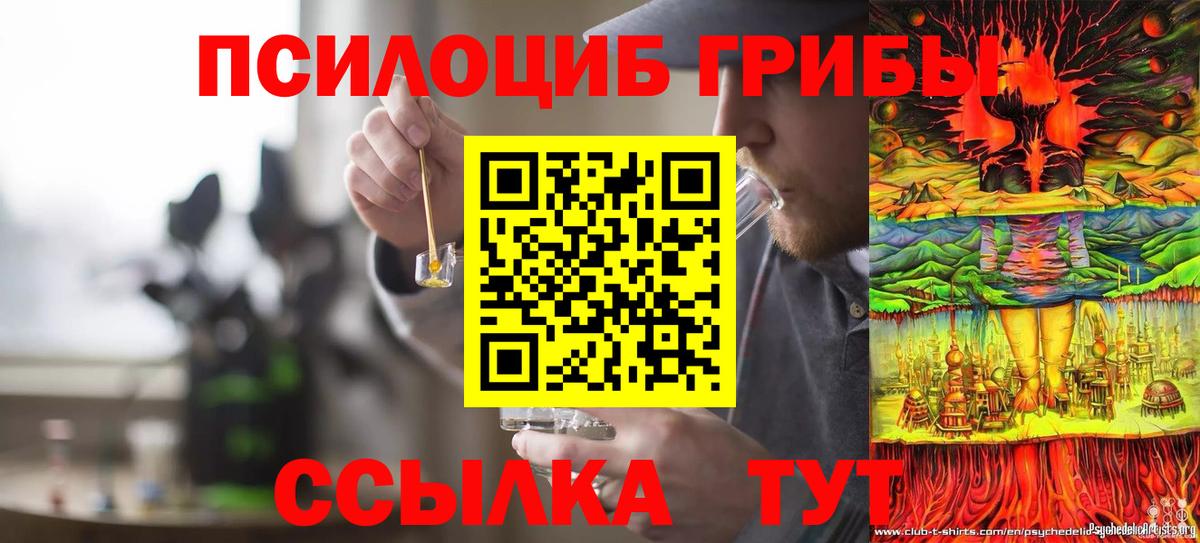 Псилоцибиновые грибы MAGIC MUSHROOMS  сколько стоит  Мичуринск  Галлюциногенные грибы ЛСД 