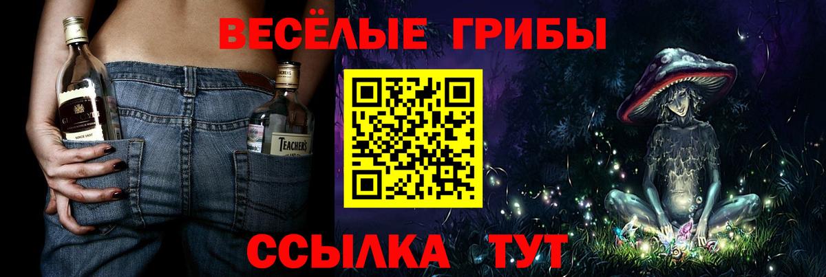 Мичуринск  Галлюциногенные грибы Magic Shrooms  Псилоцибиновые грибы Magic Shrooms  Вход с VPN 